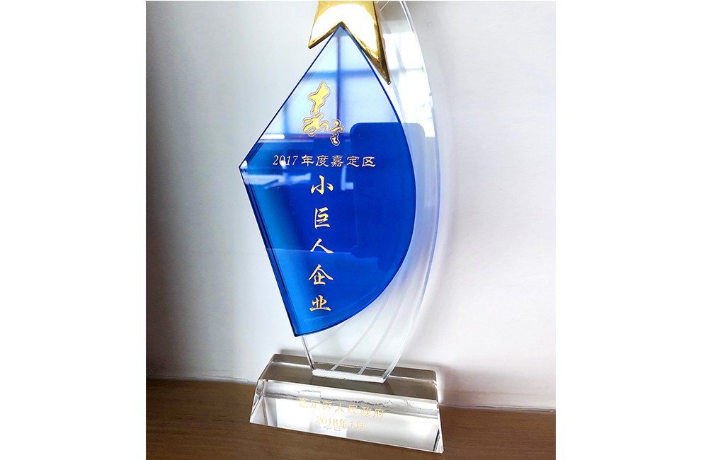 2017年度嘉定區小巨人企業